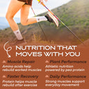 Recovery Plant Based Protein - Chocolate