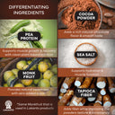 Recovery Plant Based Protein - Chocolate