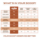 Recovery Plant Based Protein - Chocolate