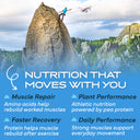 Recovery Plant Based Protein - Vanilla